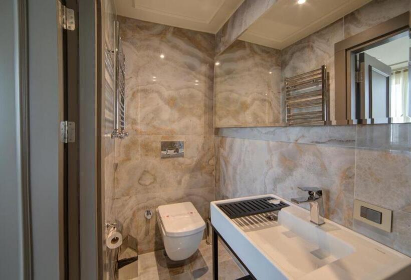 Fotos del hotel Taksim Premium:  19