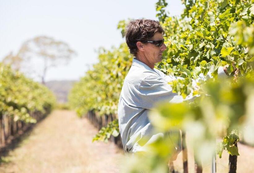 پانسیون Petersons Armidale Winery And Guesthouse