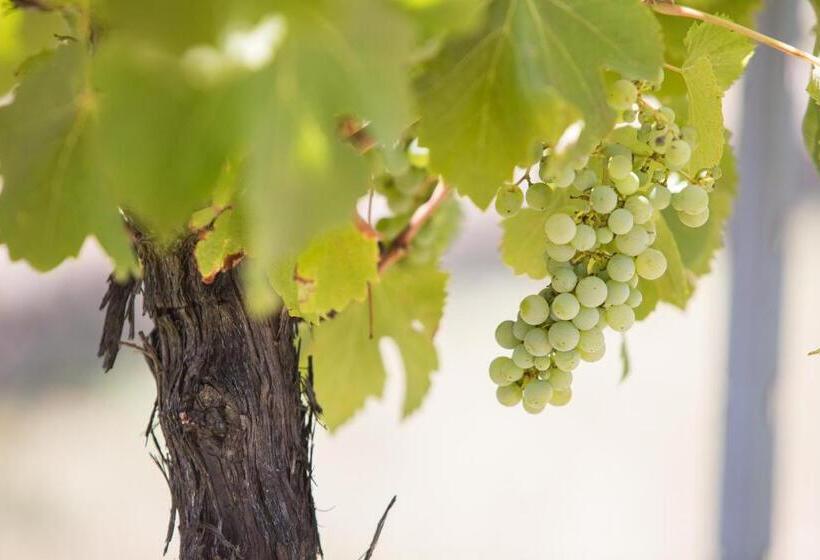 پانسیون Petersons Armidale Winery And Guesthouse