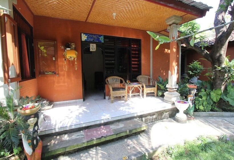 Chonos Hotel Lovina
