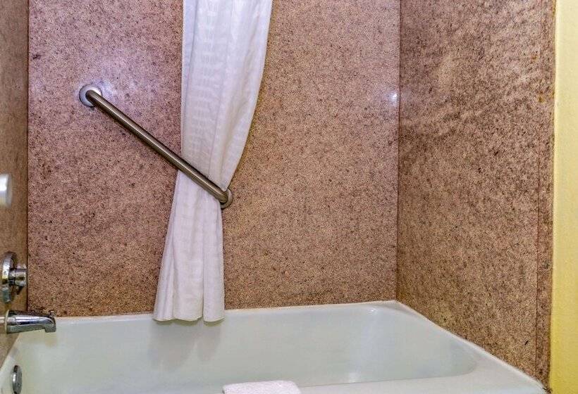ホテル Econo Lodge Weldon  Roanoke Rapids
