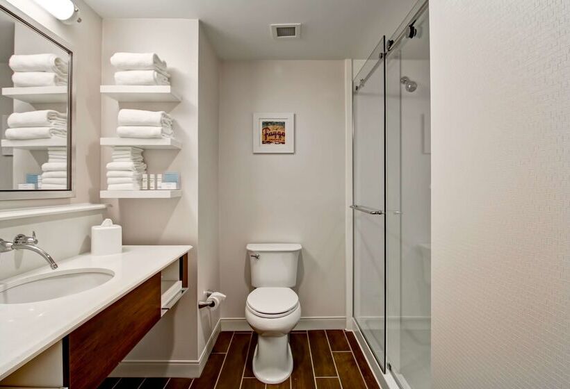 בית מלון כפרי Hampton Inn & Suites Detroit/troy