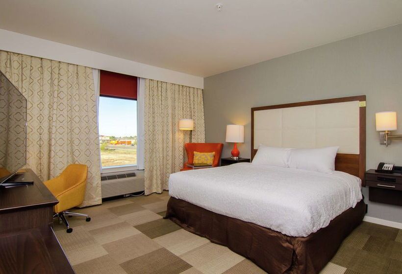 Fotos del hotel Hampton Inn & Suites Houston North Iah, Tx:  37
