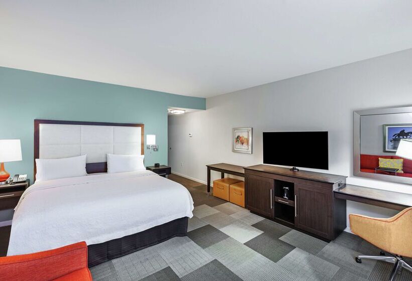 Fotos del hotel Hampton Inn & Suites Houston North Iah, Tx:  48