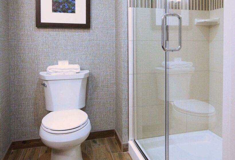 فندق Hilton Garden Inn Hickory