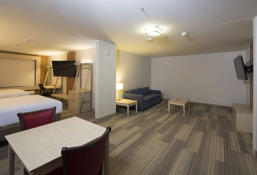 هتل Holiday Inn Express & Suites Port Huron, An Ihg