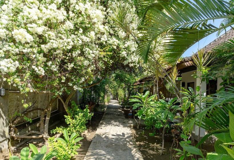 Hotel Samba Villas Beachfront View