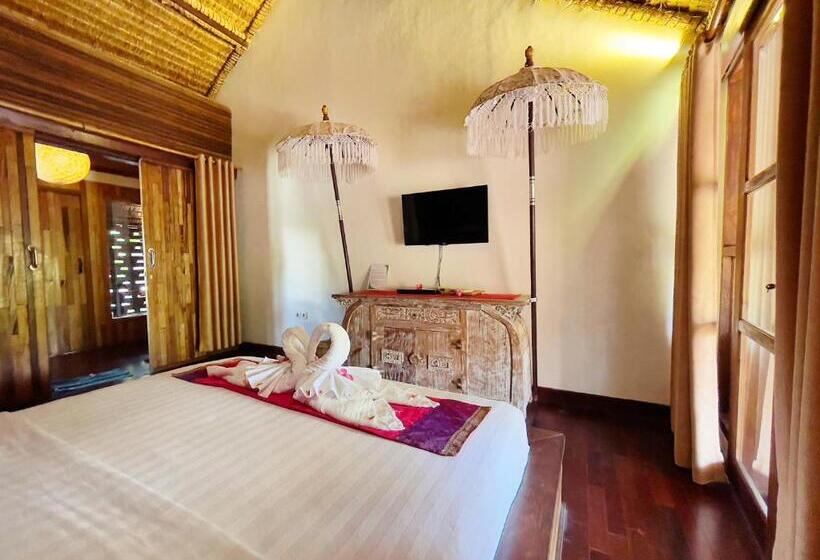 Fotos del hotel Samba Villas Beachfront View:  37