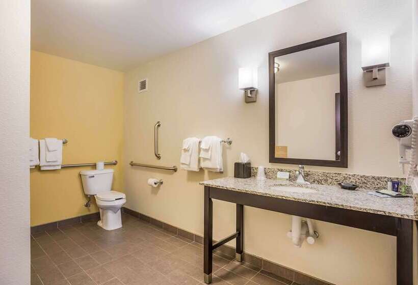 בית מלון כפרי Sleep Inn & Suites Hannibal
