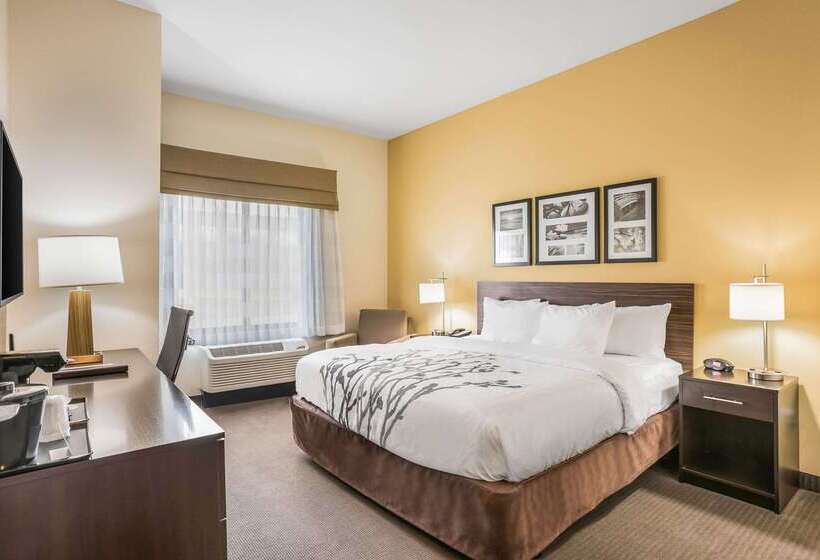 בית מלון כפרי Sleep Inn & Suites Hannibal