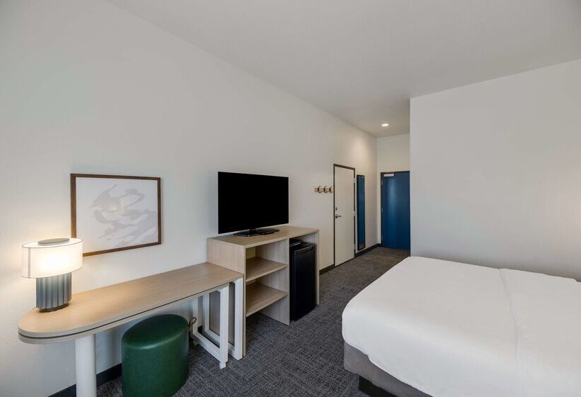 هتل Spark By Hilton Midland South