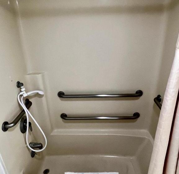 فندق على الطريق Rodeway Inn