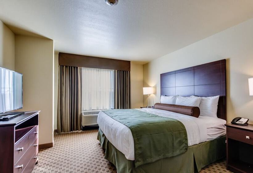 هتل Cobblestone Inn & Suites   Waverly