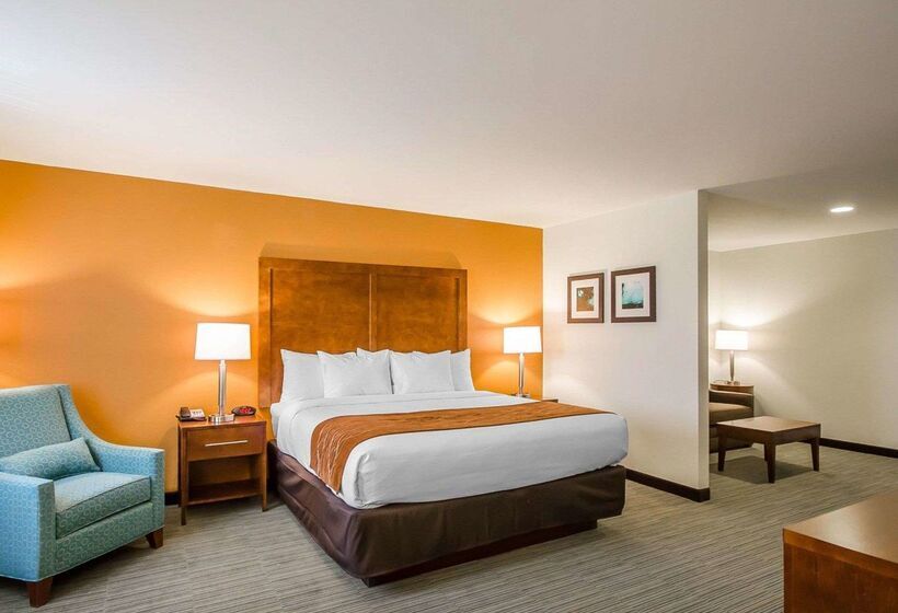 فندق Comfort Inn