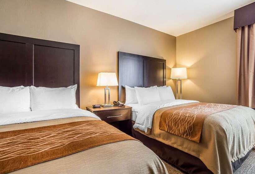 酒店 Comfort Inn & Suites Vernal National Monument Area