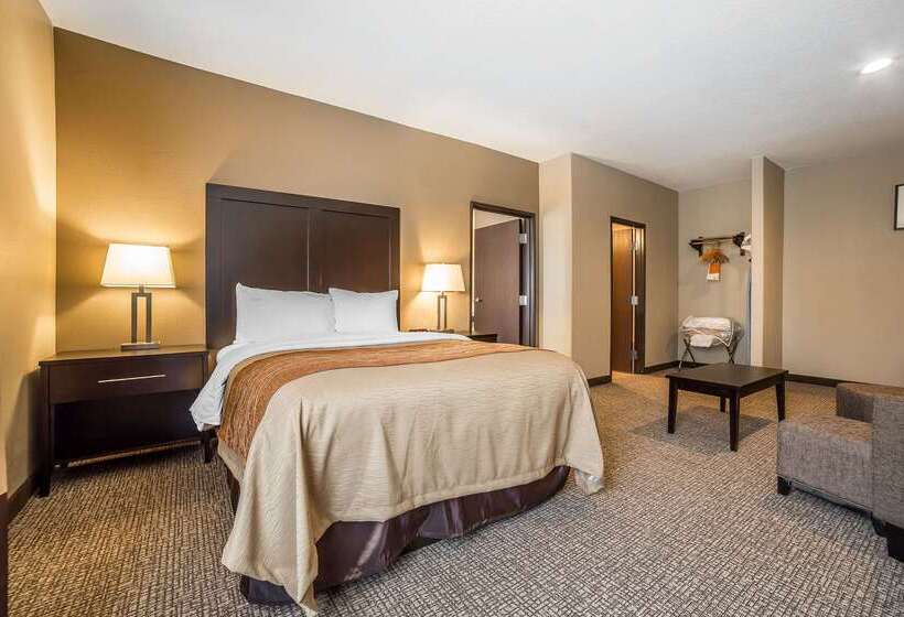 酒店 Comfort Inn & Suites Vernal National Monument Area