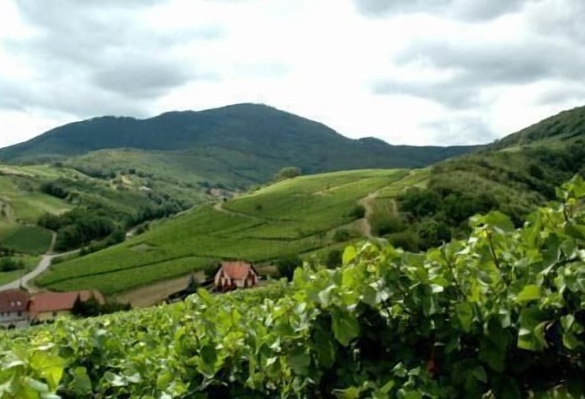 هتل Des Vosges