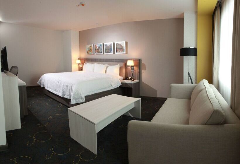 فندق Hampton Inn & Suites By Hilton Aguascalientes Airport