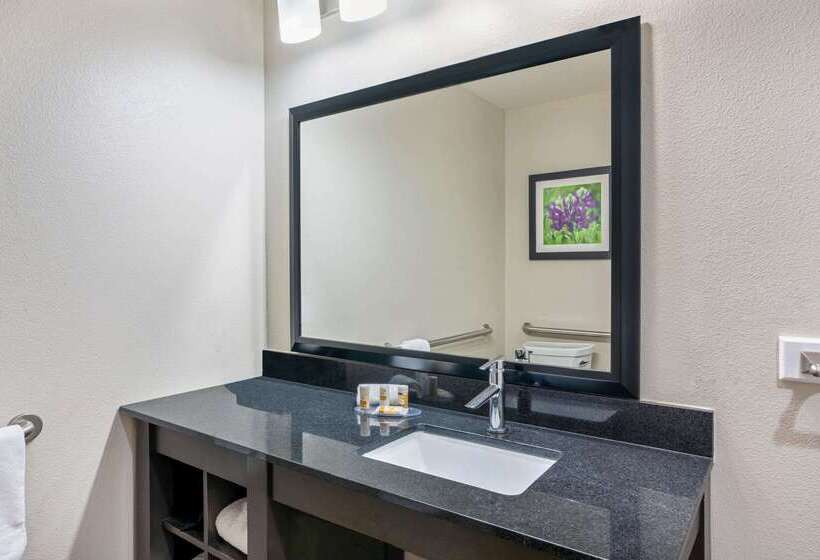 בית מלון כפרי La Quinta Inn & Suites By Wyndham College Station South