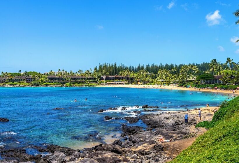 Отель Napili Point C 12   2br Condo