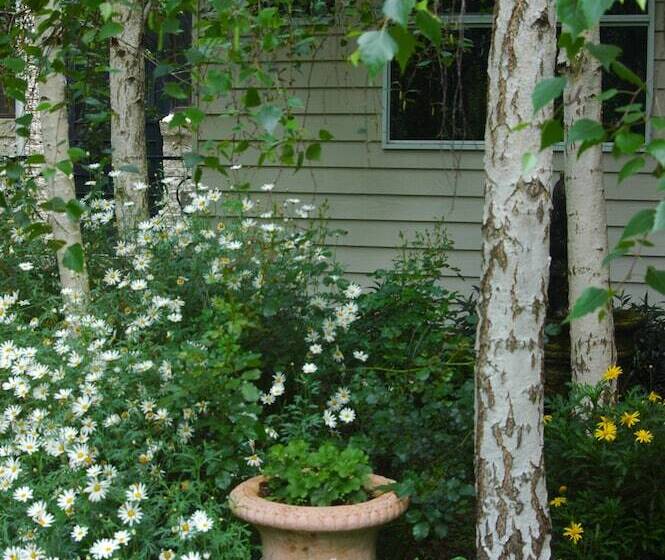 فندق Rosewood Guesthouse