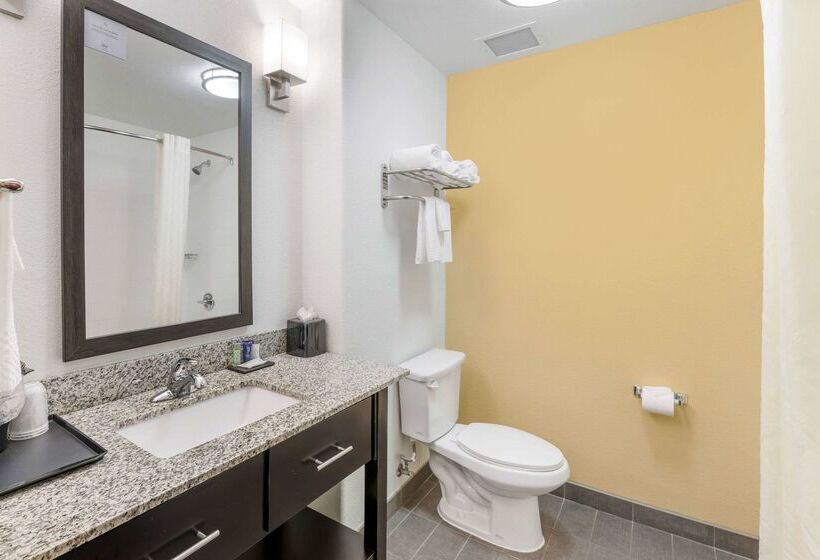 فندق Sleep Inn & Suites Carlsbad Caverns Area