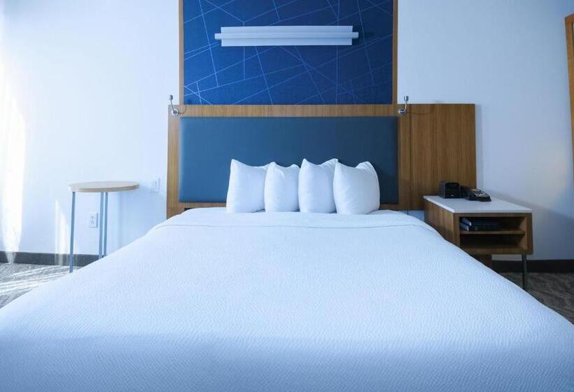 ホテル Springhill Suites By Marriott Dallas Lewisville