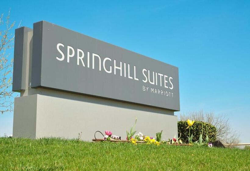 ホテル Springhill Suites By Marriott Dallas Lewisville