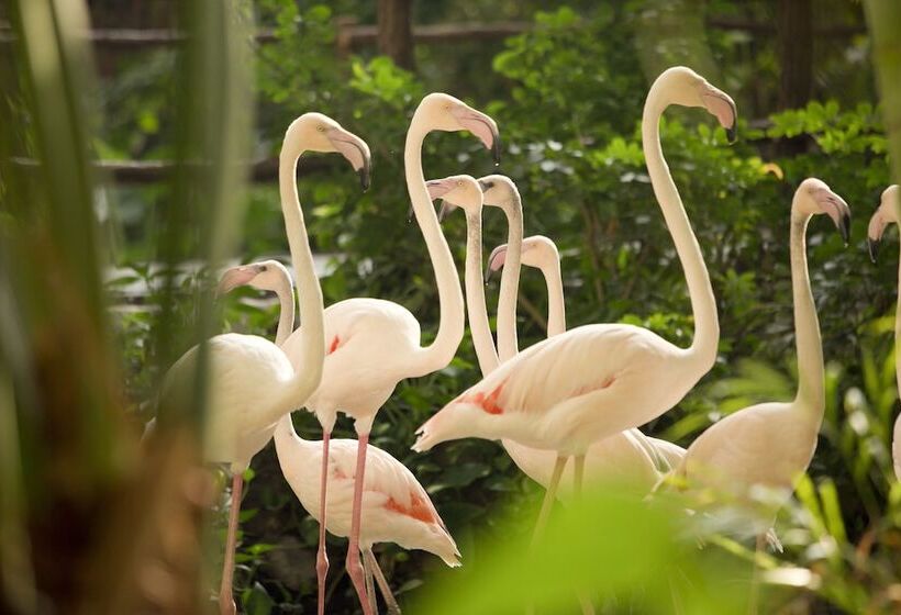 Fotos del hotel Tropical Islands:  5