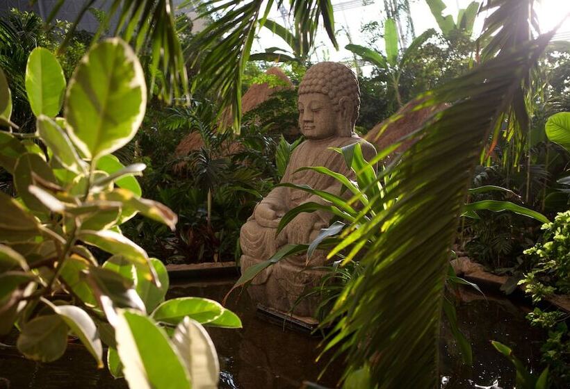 Fotos del hotel Tropical Islands:  6