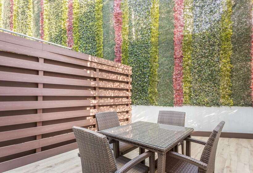 Fotos del hotel Tryp Wtc Mexico:  12