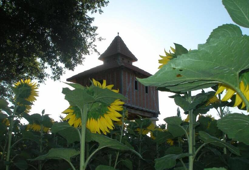 مبيت وإفطار Chambre D Hôtes Insolite Dans Un Pigeonnier à 5 Minutes De Marciac Gers