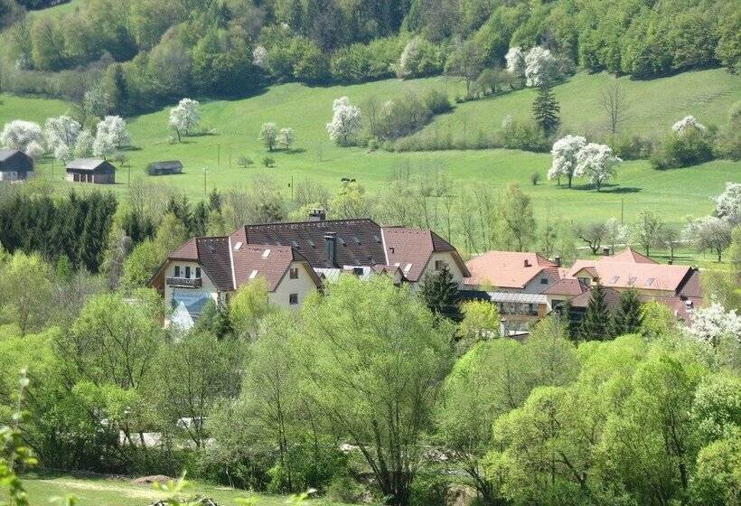 호텔 Steinschalerhof