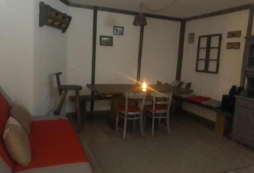 پانسیون Apartma Romana