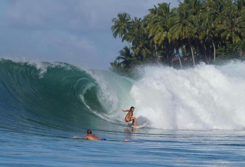 پانسیون Lilys Nias Surf Camp