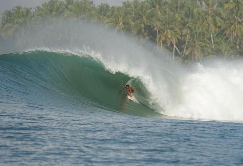 پانسیون Lilys Nias Surf Camp