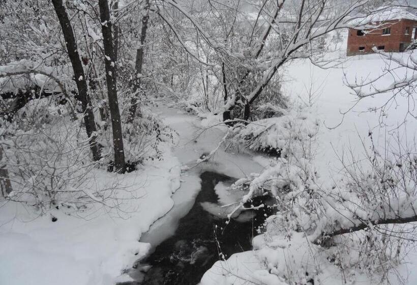 پانسیون Stara Planina Vila Vesela Kuca