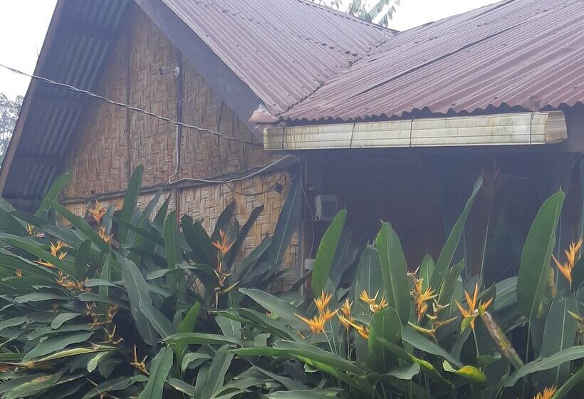 旅馆 Mountain View Cottages & Villa Tangkahan