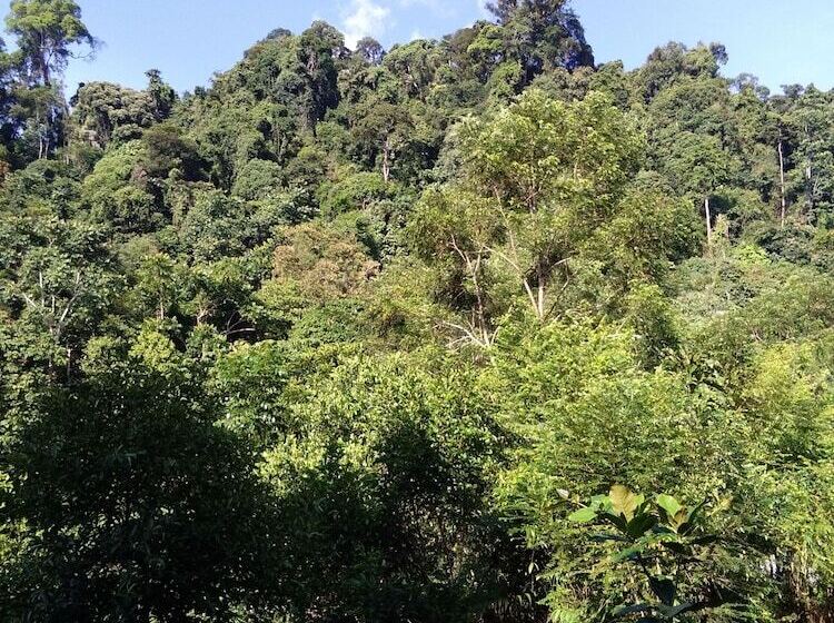 旅馆 Mountain View Cottages & Villa Tangkahan