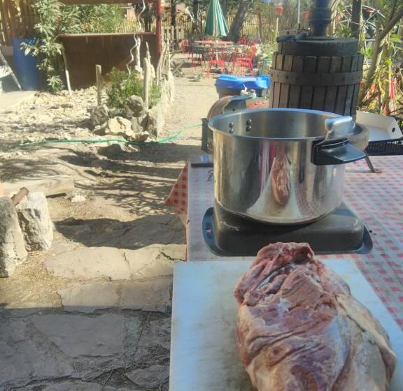 ベッドアンドブレックファースト Bed & Diner Les Terrasses De La Palme