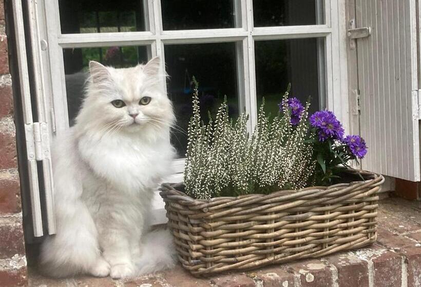 ベッドアンドブレックファースト L Armandière