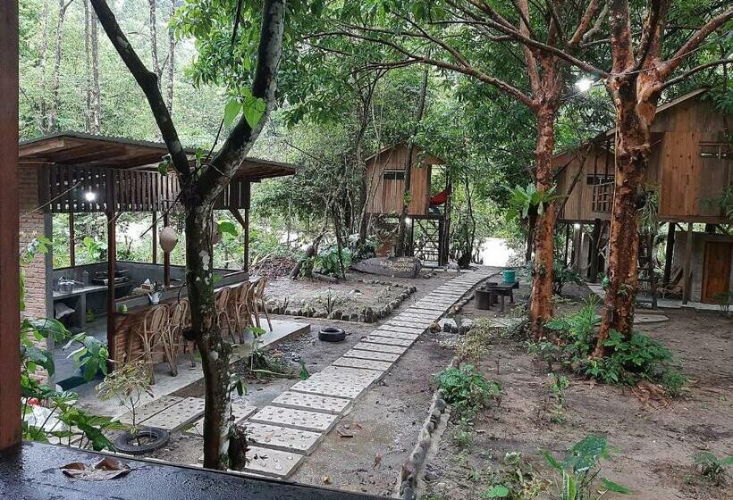 بنسيون Bua Guesthouse Tangkahan