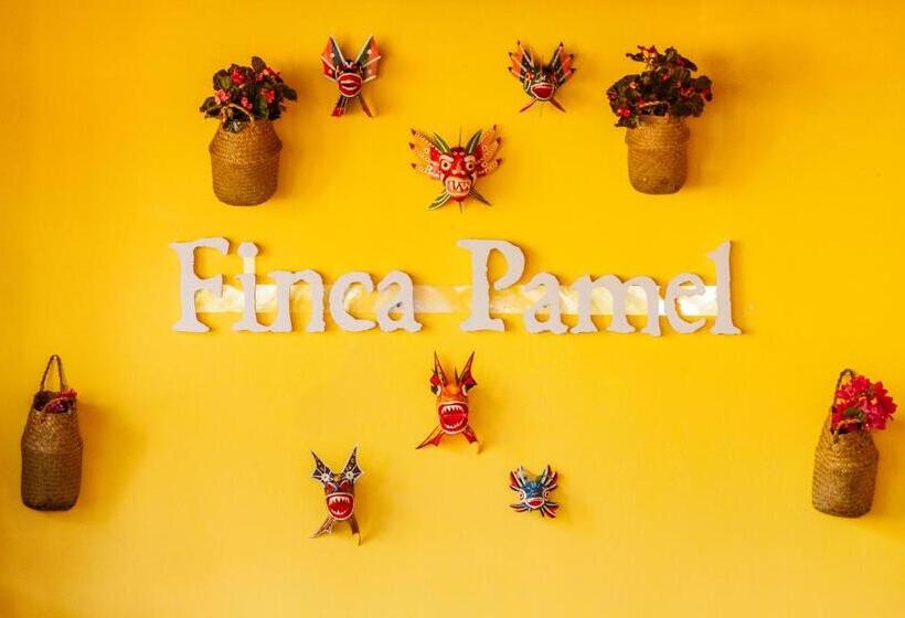 پانسیون Finca Pamel