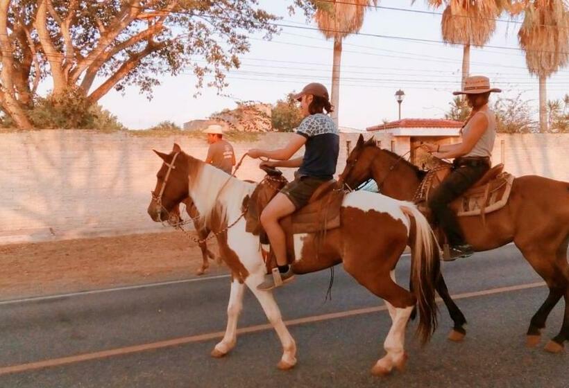 بنسيون Hostal Villa Mercedes