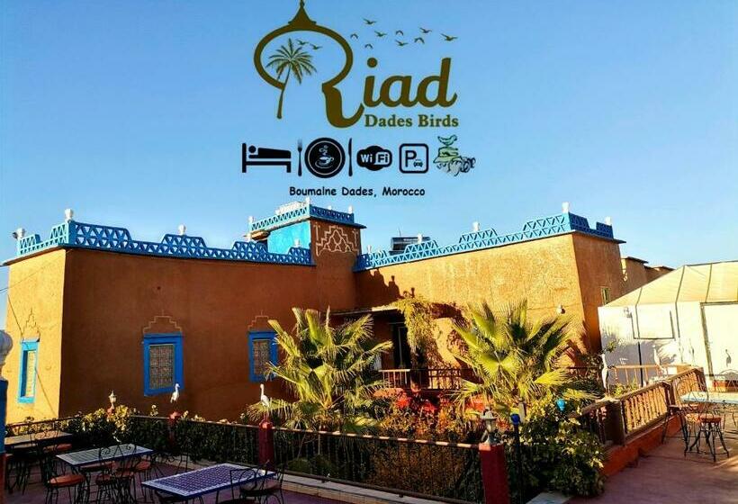 پانسیون Riad Dades Birds