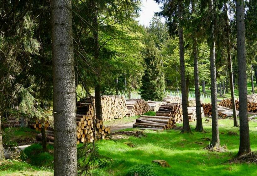 Pension Zum Ritter