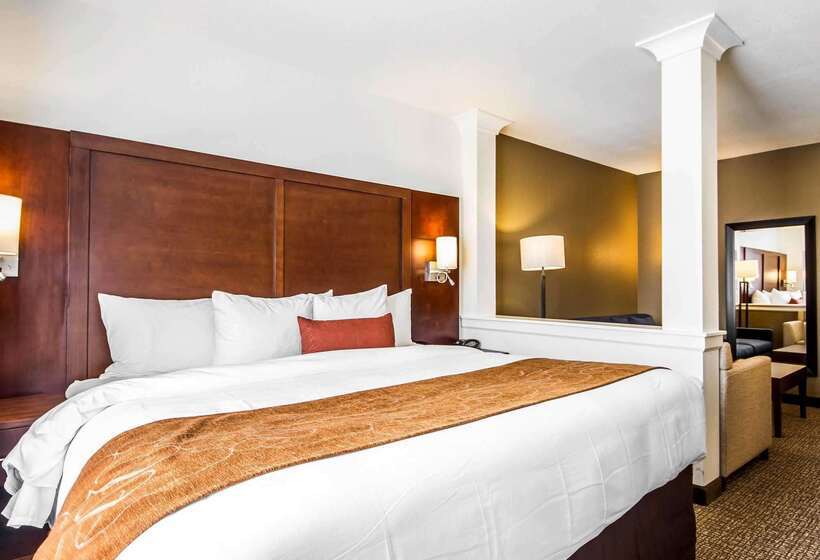 هتل Comfort Suites Woodland  Sacramento Airport