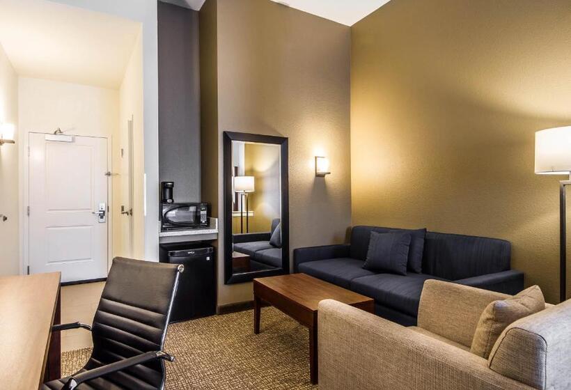 هتل Comfort Suites Woodland  Sacramento Airport