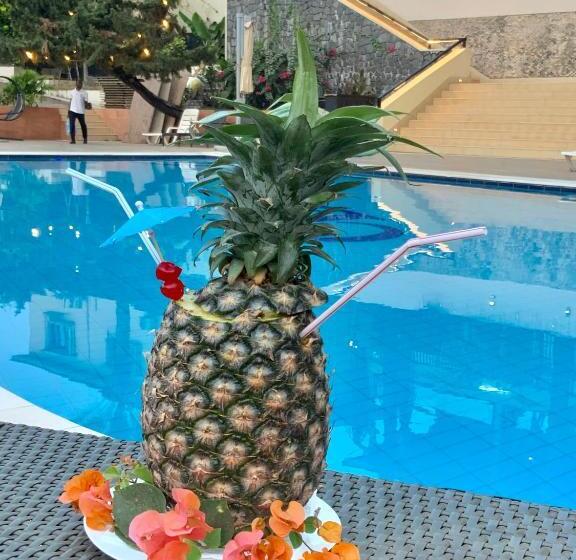 هتل The Country Lodge