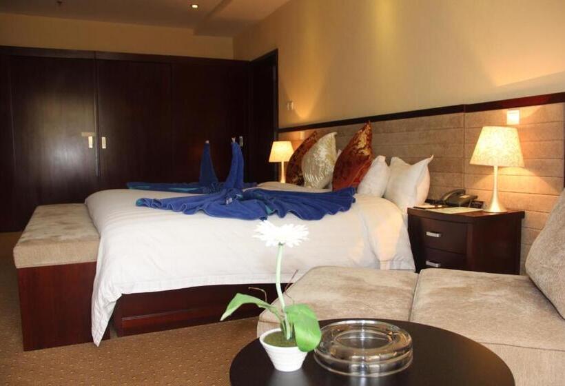 Fotos del hotel Soluxe Cairo:  10